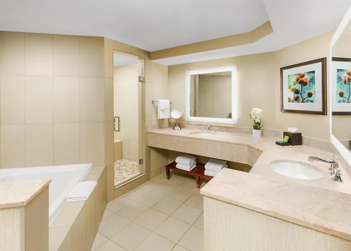 Hilton Airport Hotel